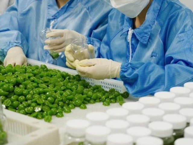 Kẹo rau củ Kera, sản xuất bởi Công ty Cổ phần ASIA LIFE ở Buôn Ma Thuột vào cuối năm 2024, đã bán được hơn 135.300 hộp Kẹo rau củ Kera, sản xuất bởi Công ty Cổ phần ASIA LIFE ở Buôn Ma Thuột vào cuối năm 2024, đã bán được hơn 135.300 hộp